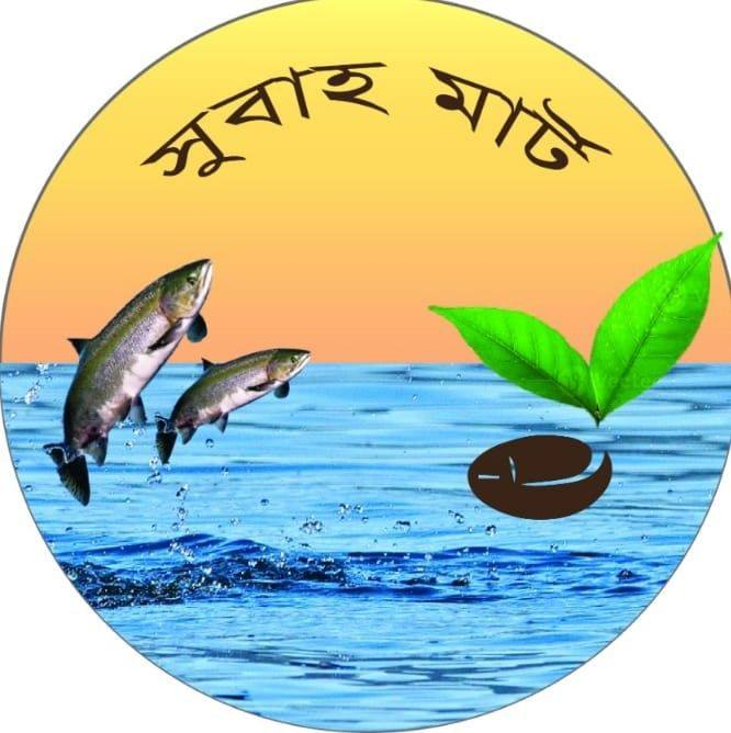 Startup Logo